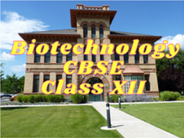 Bio Technology (CBSE) - Class XII